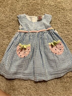 Blue & White Striped Seersucker Dress with Pink Strawberry Pockets